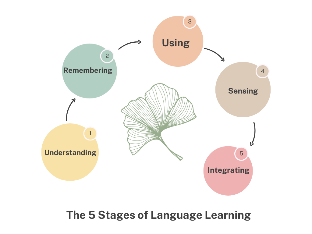 The 5 Stages of Language Learning: Why You’re Stuck and How to Move ...